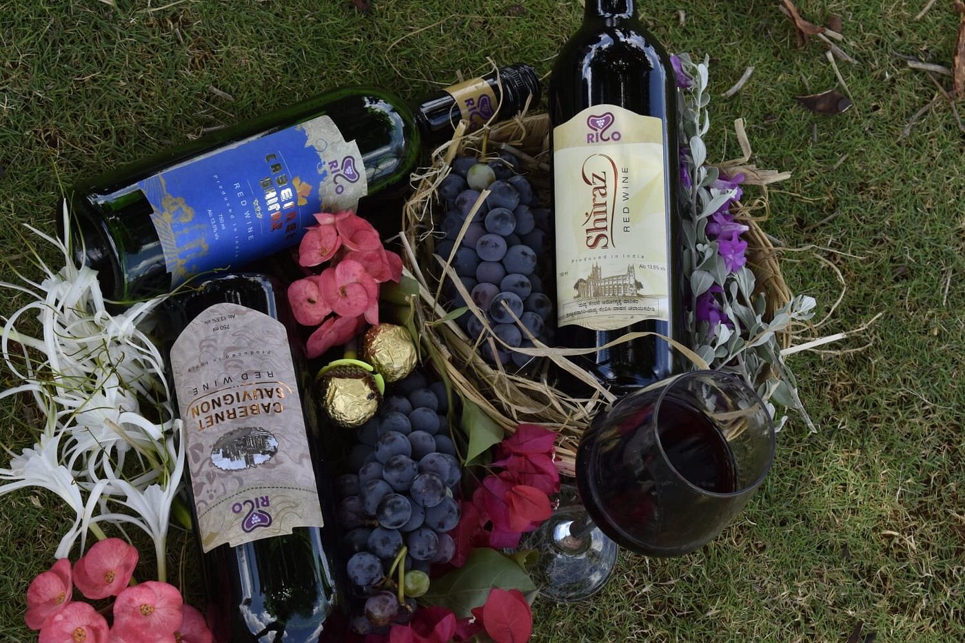 Rico Wine Park vineyard grounds